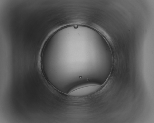 X0000103171332200808291502