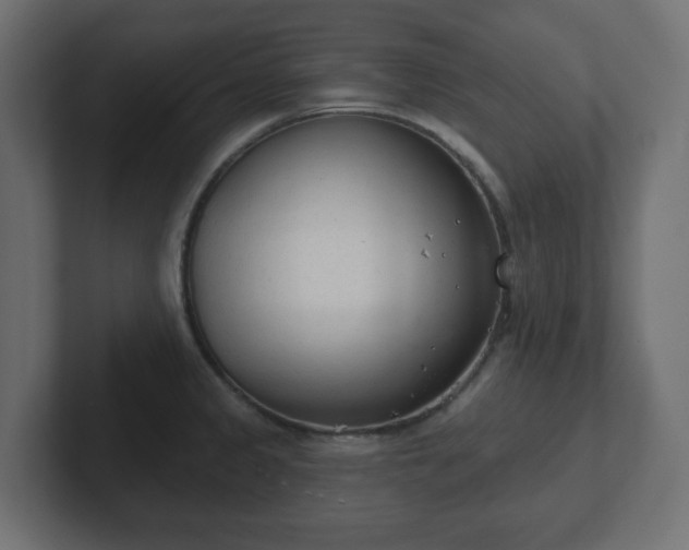 X0000103171333200808291502