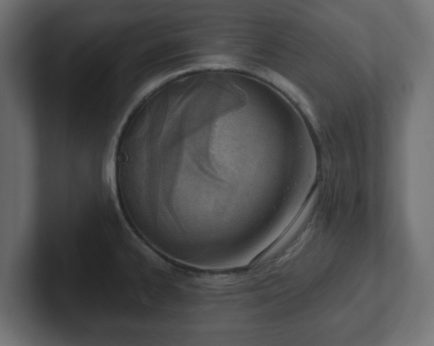 X0000103171334200808291502