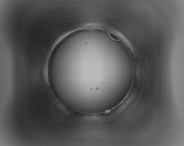 X0000103171336200808291502