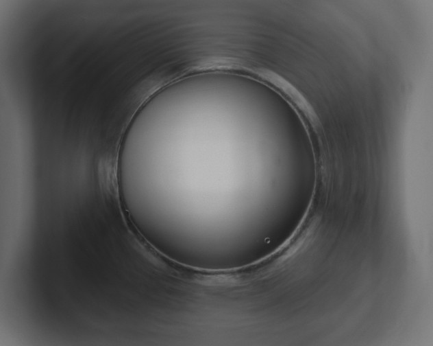 X0000103171337200808291502