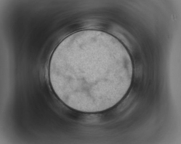 X0000103171338200808291502