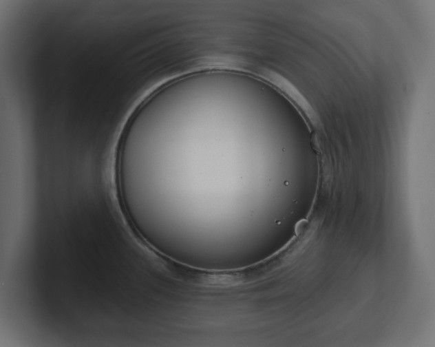 X0000103171339200808291502