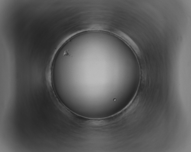 X0000103171340200808291502