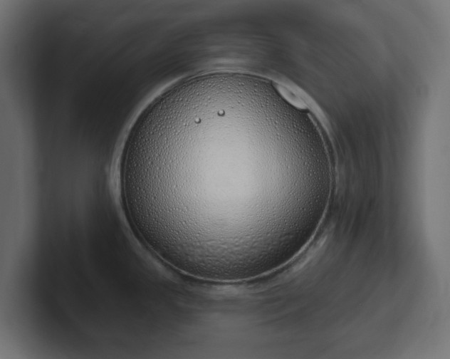 X0000103171341200808291502