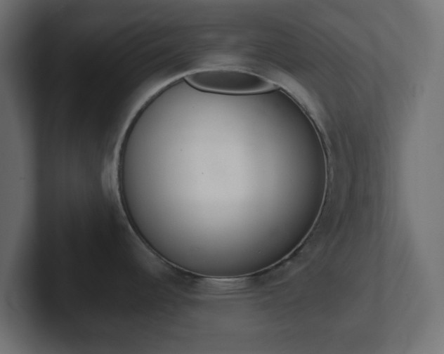 X0000103171344200808291503