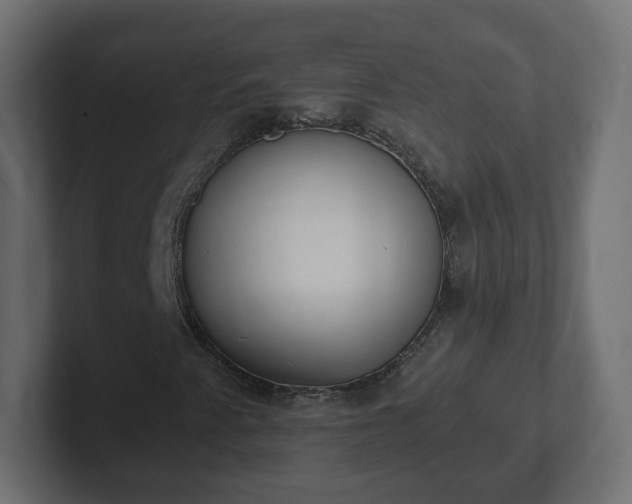 X0000103171345200808291502