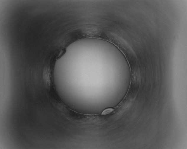 X0000103171346200808291502