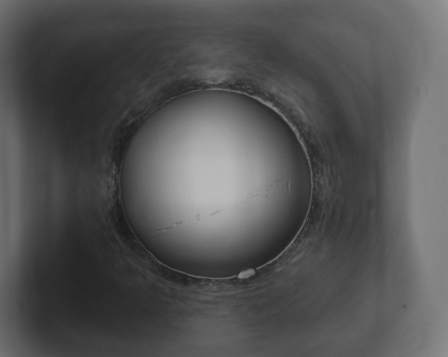 X0000103171349200808291502