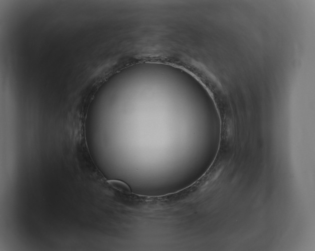 X0000103171350200808291502