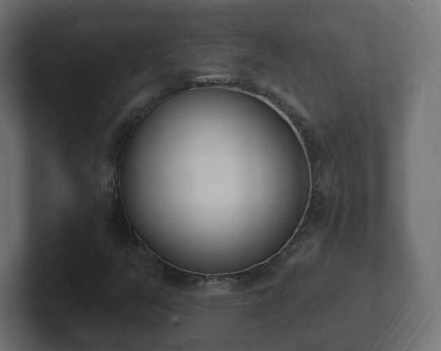 X0000103171351200808291502