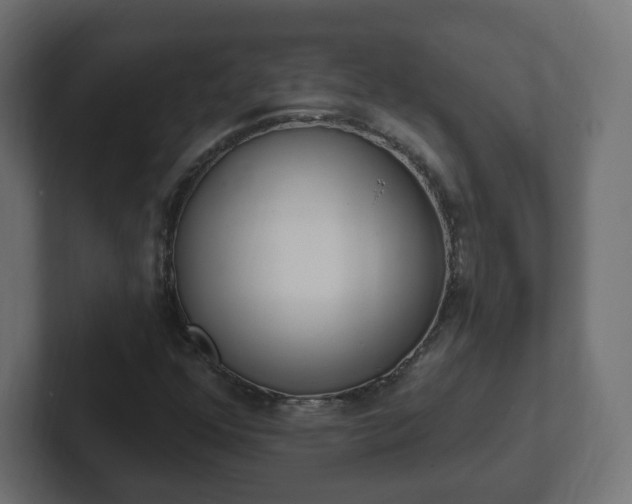 X0000103171352200808291502