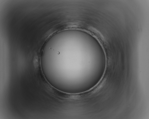 X0000103171353200808291502