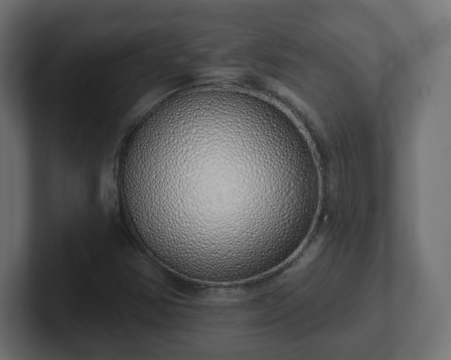 X0000103171354200808291502