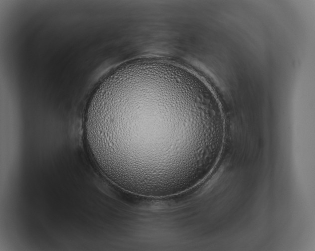 X0000103171355200808291502