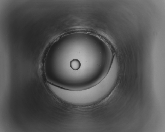 X0000103171357200808291502