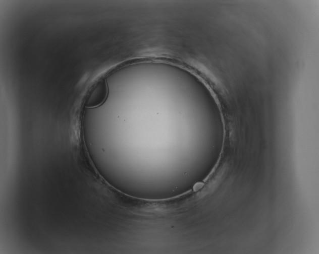 X0000103171358200808291502