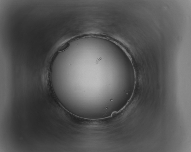 X0000103171359200808291502