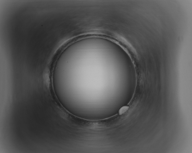 X0000103171360200808291502