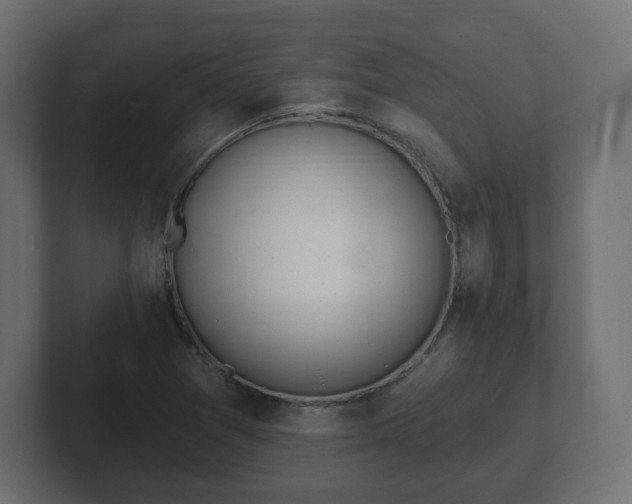 X0000103171361200808291502