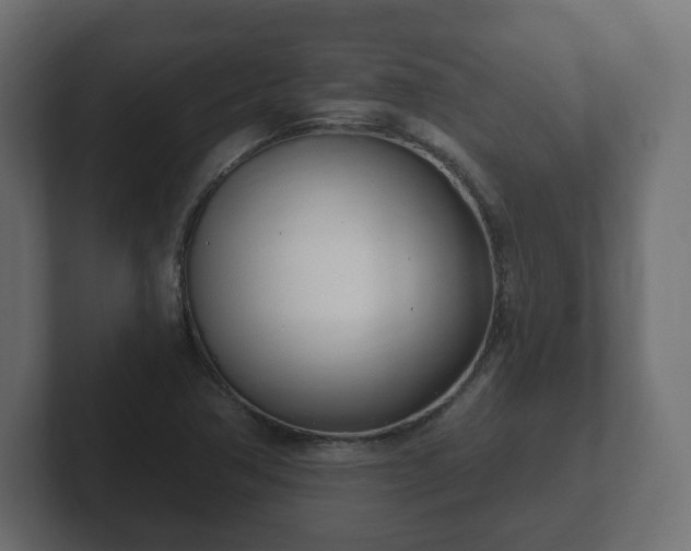 X0000103171362200808291502