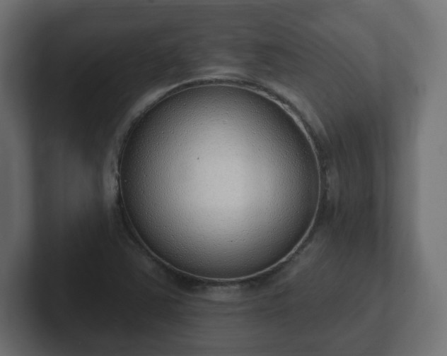 X0000103171363200808291502