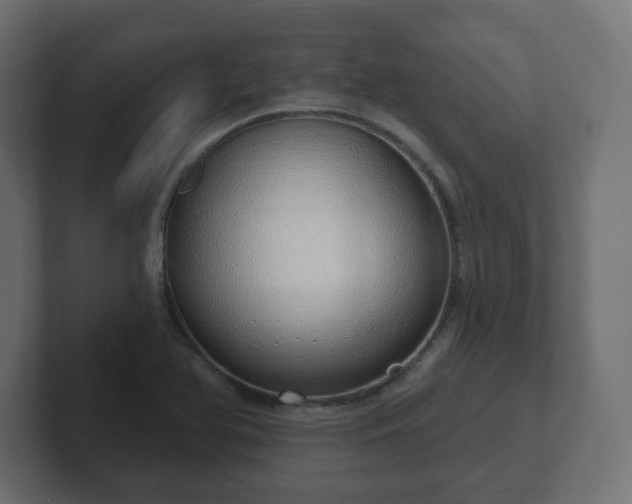 X0000103171366200808291502