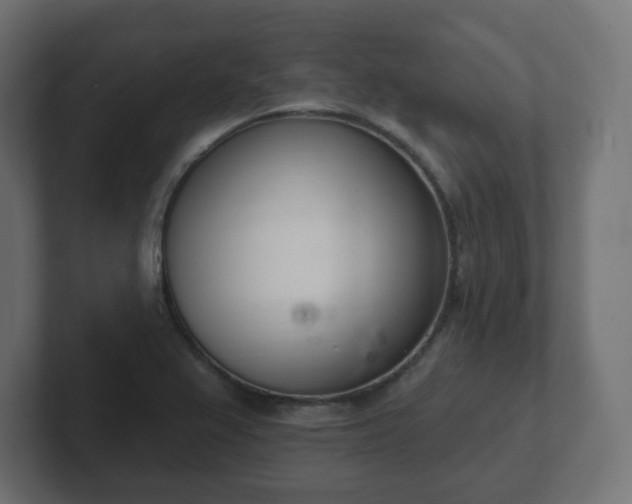 X0000103171367200808291502