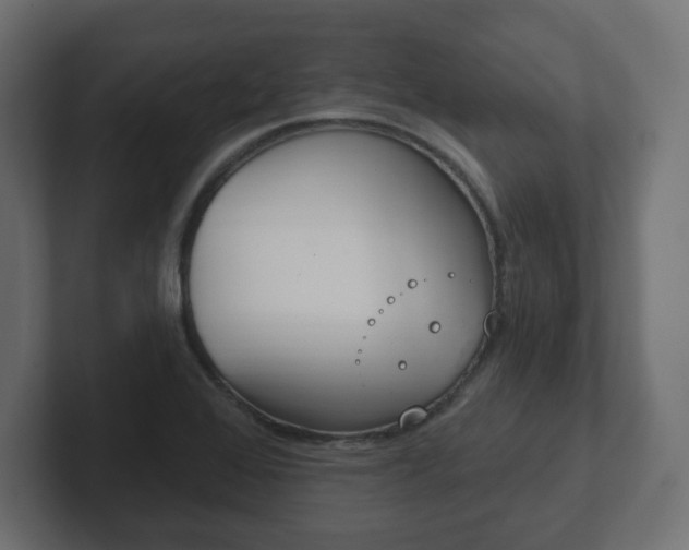 X0000103171368200808291502