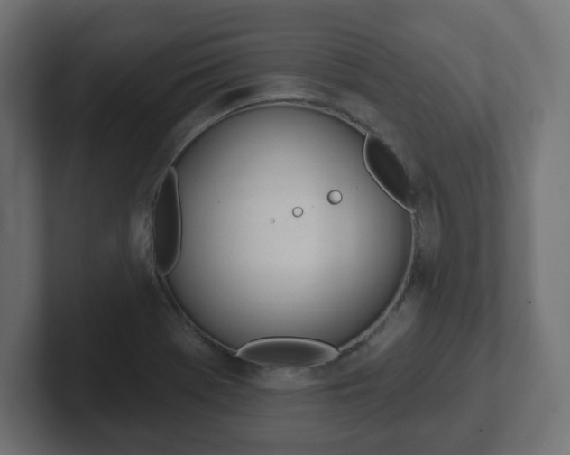 X0000103171369200808291502