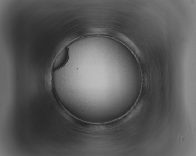 X0000103171370200808291502