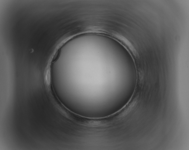 X0000103171371200808291502