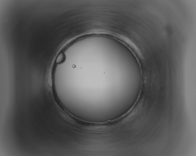 X0000103171372200808291502