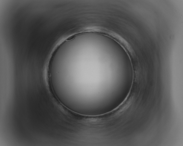 X0000103171373200808291502