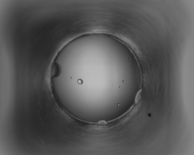 X0000103171374200808291502