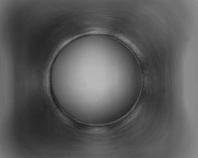 X0000103171375200808291502