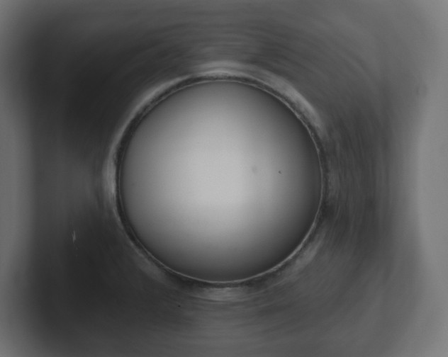 X0000103171376200808291501