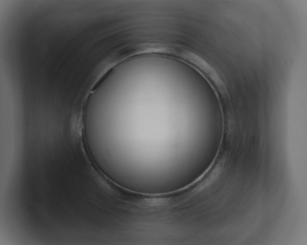 X0000103171377200808291501