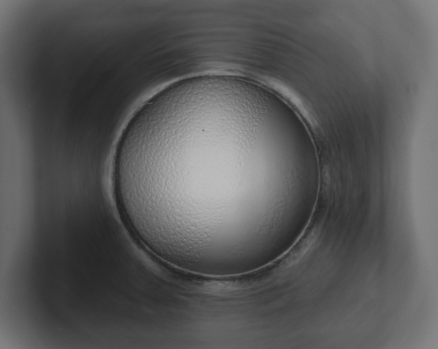 X0000103171379200808291501