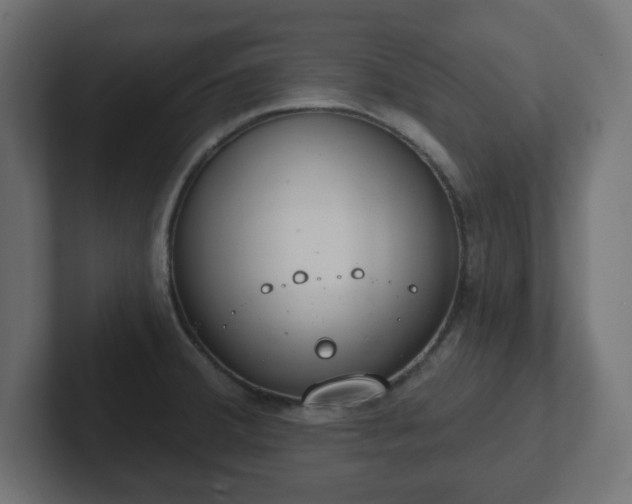 X0000103171380200808291501