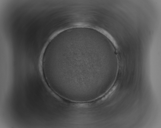 X0000103171381200808291501