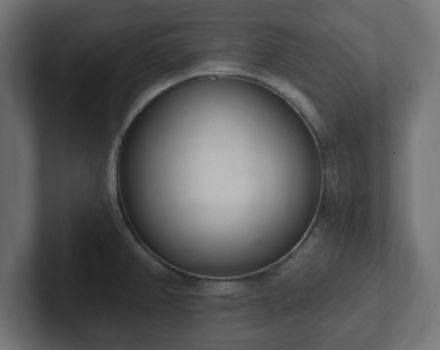 X0000103171382200808291501