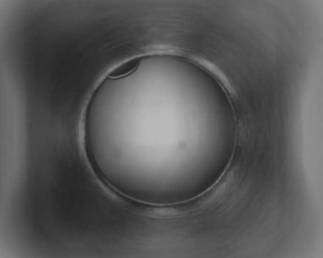 X0000103171383200808291501