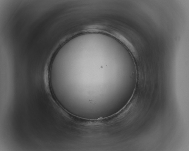 X0000103171384200808291501