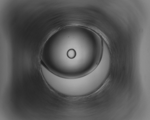 X0000103171385200808291501