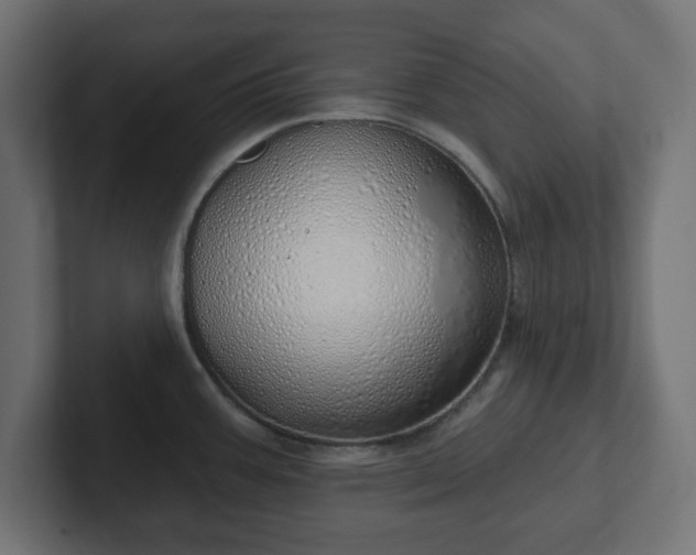 X0000103171387200808291501