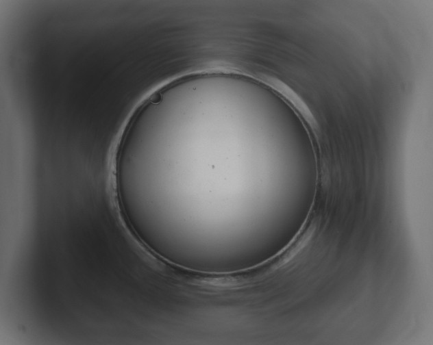 X0000103171388200808291501