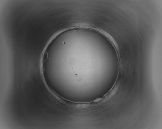 X0000103171389200808291501