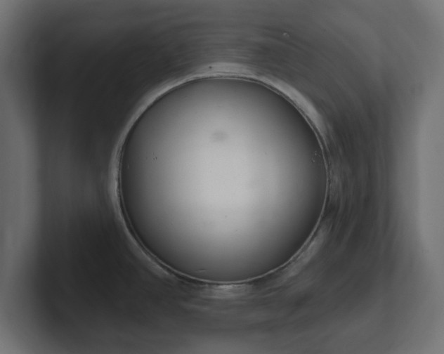 X0000103171390200808291501