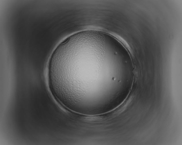 X0000103171391200808291501